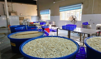 Ph&aacute;t hiện gần 7 tấn ch&acirc;n g&agrave; ng&acirc;m chất tẩy trắng