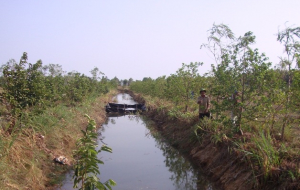 Tiền Giang chủ động phòng, chống hạn, mặn