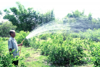 Trà Vinh: Điện khí hóa nông thôn giúp bà con làm ăn khấm khá hơn