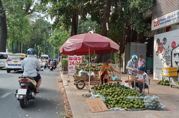 Đàm phán xuất khẩu cam sành sang Trung Quốc