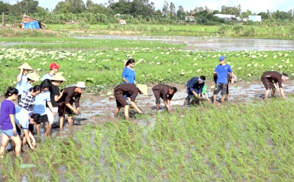 Câu chuyện du lịch nông nghiệp