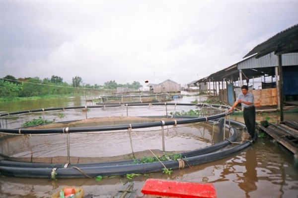 LỐC XOÁY ĐANG VÀO MÙA: Chủ động phòng, tránh để giảm thiểu thiệt hại