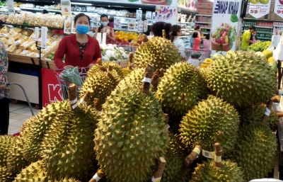 Sầu riêng Malaysia giá tiền triệu vẫn cháy hàng giữa lúc sầu riêng Việt rẻ rề