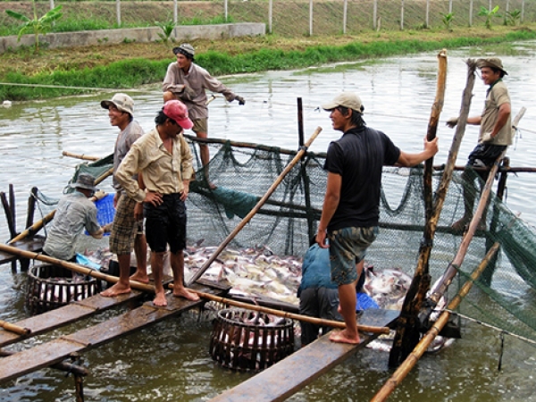 Hướng đi bền vững cho ngành thủy sản