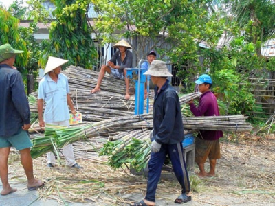 Ngành mía đường &quot;tụt dốc&quot;