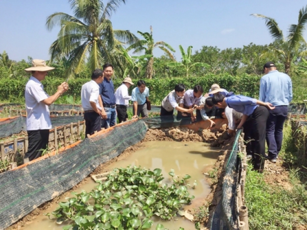 ĐỔI MỚI TƯ DUY TRÊN ĐỒNG ĐẤT - Kỳ cuối: Tư duy &quot;nông nghiệp làm giàu&quot;