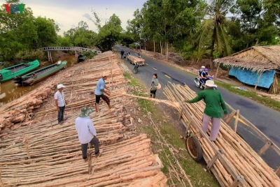 Ảnh: “Chợ tràm” nơi đất rừng U Minh hạ