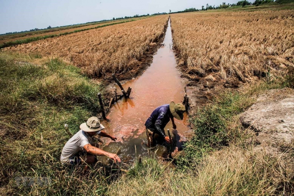 Hỗ trợ 530 tỷ đồng cho 8 tỉnh ĐBSCL phòng, chống hạn hán, xâm nhập mặn