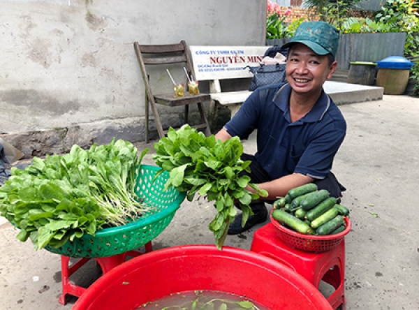 Nhân rộng mô hình trồng rau sạch