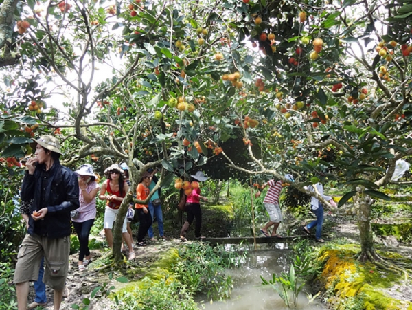 Tour lễ hội cây - trái ngon tỉnh Bến Tre 2019