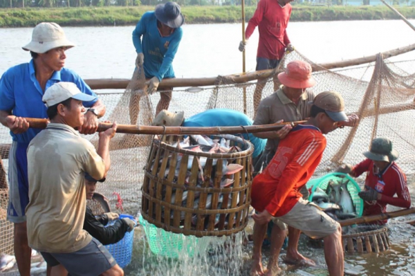 Tăng tốc xuất khẩu thủy sản cuối năm