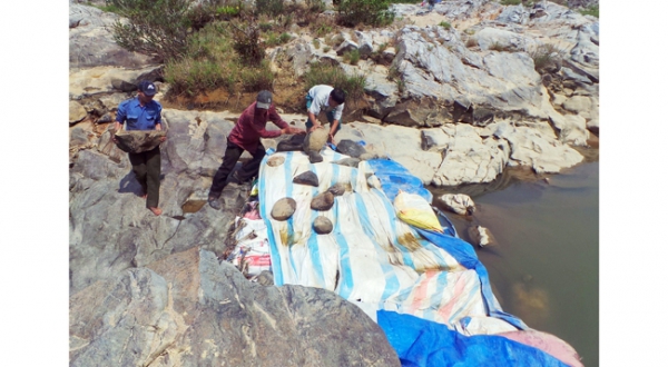 Hạn nặng do thủy điện tích nước tại huyện Kon Rẫy (Kon Tum)