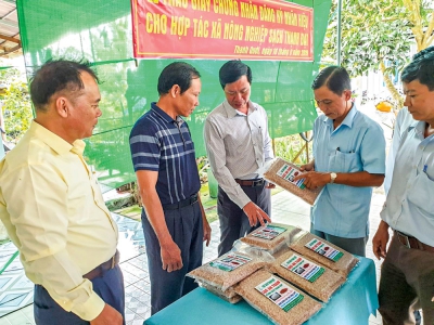 Chắp cánh thương hiệu, nhãn hiệu