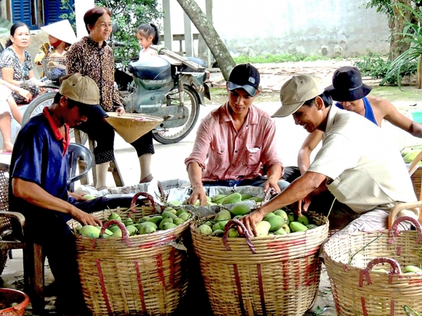 Thích ứng, bám sát thị trường để phát triển bền vững