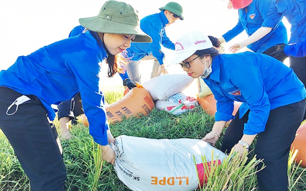 Quan tâm hơn nữa công tác chuẩn hóa cán bộ Đoàn