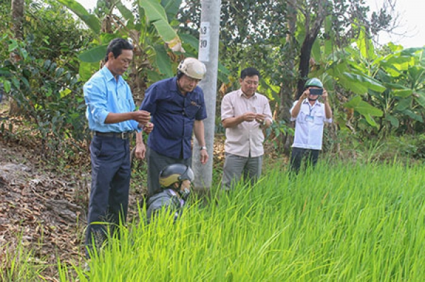 Hiệu quả chuyển đổi cây trồng