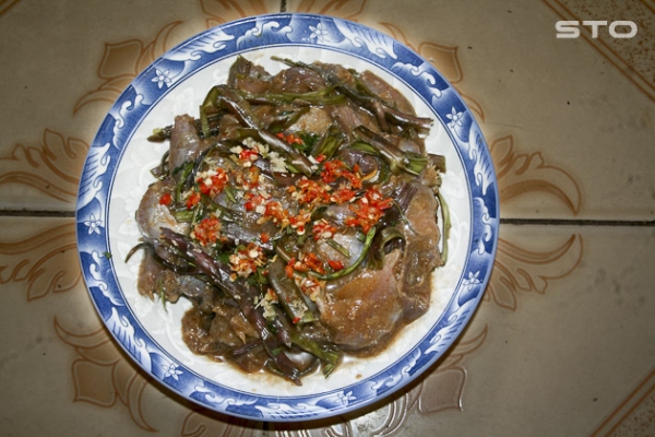 Thương con mắm trở