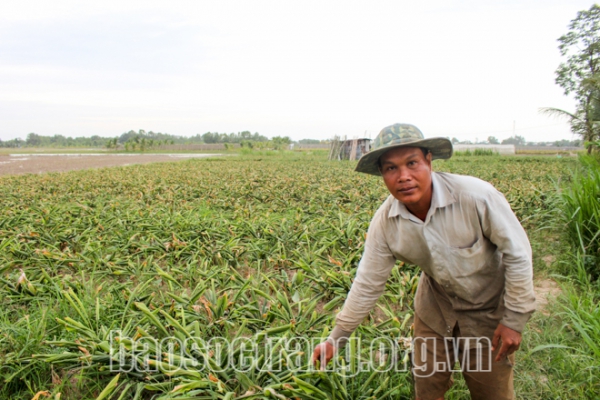 Mạnh dạn đa dạng cây trồng, vật nuôi - nông dân có thu nhập khá