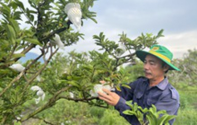 Chủ tịch UBND tỉnh Tây Ninh: Người dân địa phương có thể sống, làm giàu từ nông nghiệp