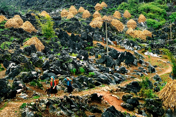 Một mình đi giữa cao nguyên đá núi