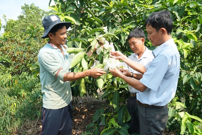 Tập trung lãnh đạo phát triển kinh tế