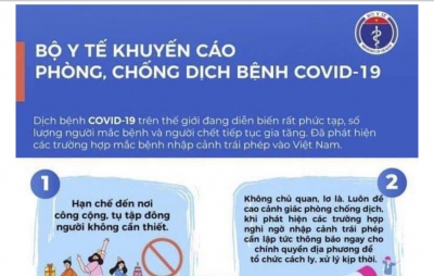 Cháu trai 11 tuổi từ Hà Nội về Hải Phòng thăm ông bà, dương tính SARS-CoV-2