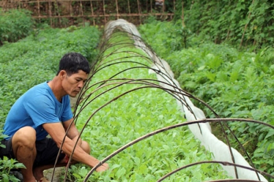 Vĩnh Long: Hiệu quả môi trường từ sản xuất sạch