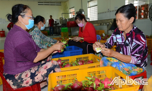 Trợ lực cho hợp tác xã nông nghiệp phát triển