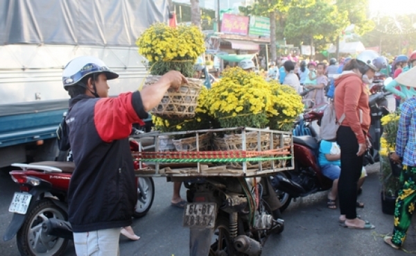 Hoa chưng tết hút hàng