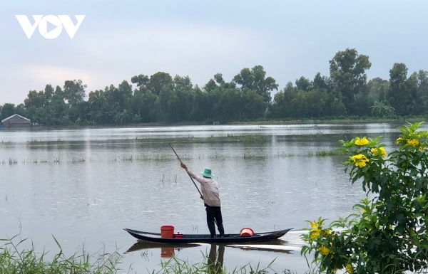 Người Hậu Giang mưu sinh trên đồng nước nổi