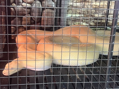 CLIP: Qu&aacute;n c&agrave; ph&ecirc; &ldquo;độc, lạ&rdquo; ở Cần Thơ