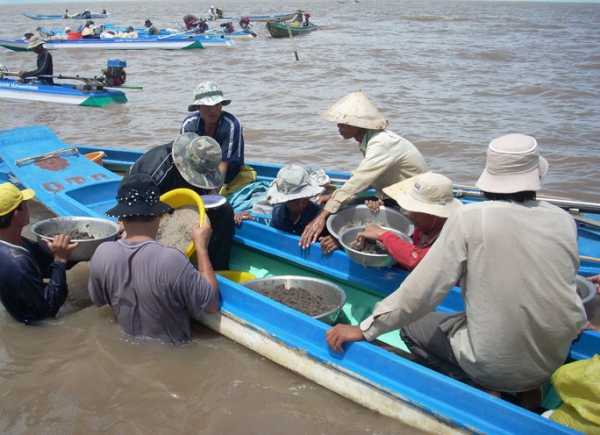 Chống khai thác thủy sản tận diệt