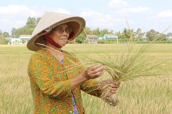 Long An kêu gọi &#039;&#039;Toàn dân tham gia phòng, chống hạn, mặn&#039;&#039;