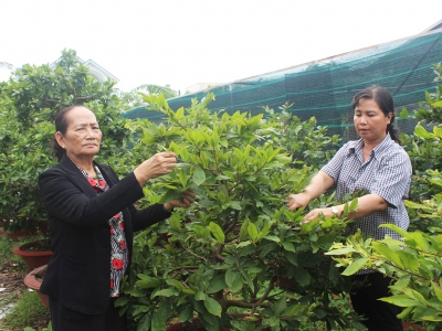 Làm theo gương Bác mỗi ngày