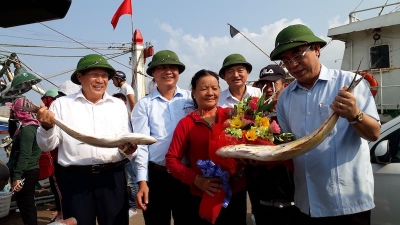 Ngư dân Quảng Trị trúng mẻ cá bè vàng hơn 7 tỷ đồng