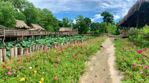 Du lịch cây nhà lá vườn