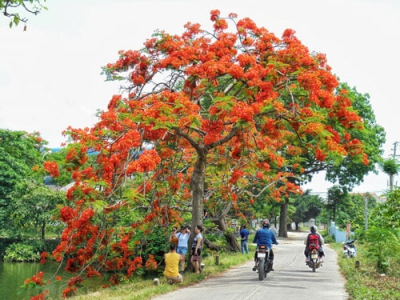 Xao xuyến Yên Trường