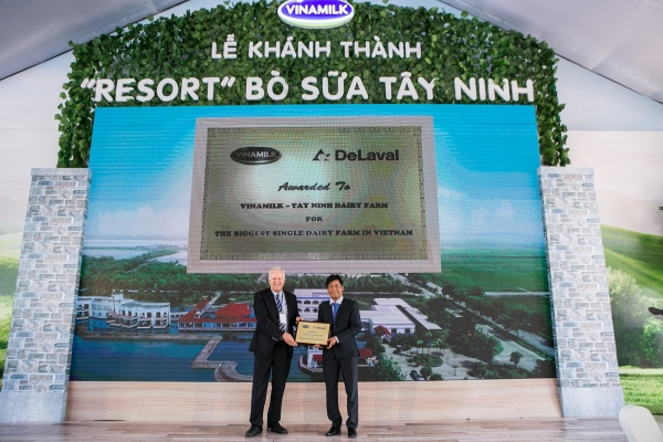 &quot;Resort&quot; bò sữa Vinamilk Tây Ninh - ngôi nhà lý tưởng của những cô bò hạnh phúc