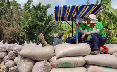 Philippines áp trần giá gạo, nhà nhập khẩu đòi hủy đơn hàng, gạo Việt Nam sẽ ra sao?