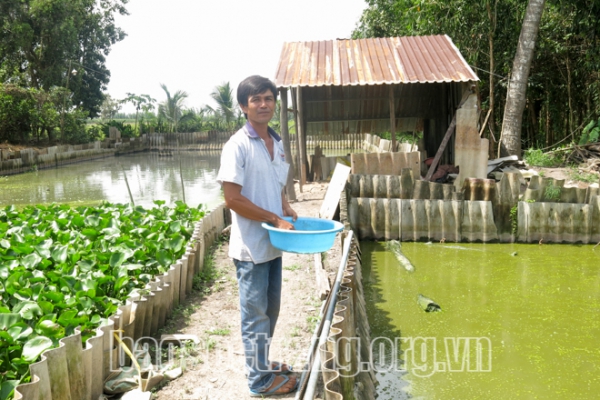 Kinh tế ổn định nhờ nuôi ba ba sinh sản