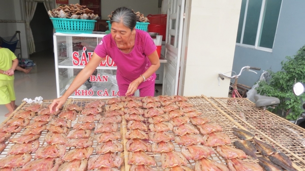 Vào mùa sản xuất khô