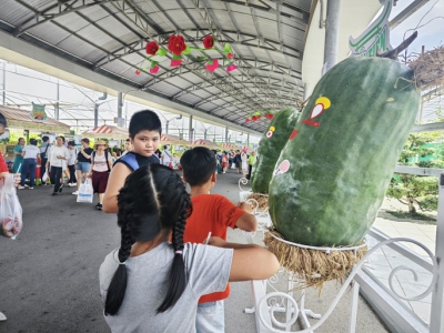 Sầu riêng, măng cụt giá rẻ bất ngờ tại Lễ hội Trái cây Nam Bộ