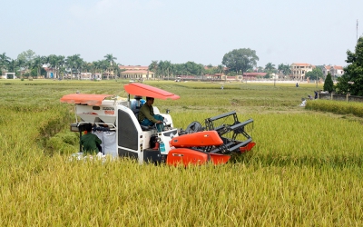 Việt Nam hướng đến trở thành nhà cung cấp lương thực minh bạch, bền vững