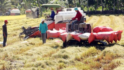 CƠ GIỚI HÓA NÔNG NGHIỆP: Đồng bộ để sản xuất hiện đại