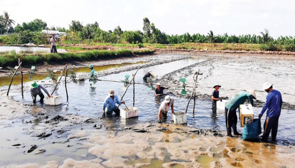 Tăng tốc xuất khẩu thủy sản