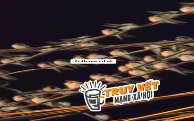 Ng&agrave;nh chức năng n&oacute;i g&igrave; hiện tượng h&agrave;ng ng&agrave;n con chim &eacute;n đậu chằng chịt tr&ecirc;n d&acirc;y điện ở Cần Thơ ?