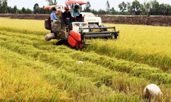 Long An: Cơ giới hóa trong nông nghiệp mang lại nhiều hiệu quả