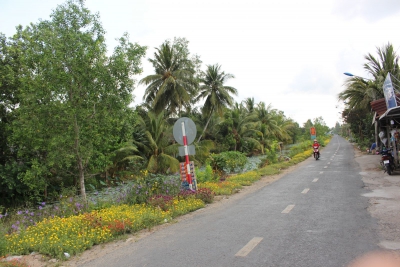 Tuyến đường đẹp sắc hoa