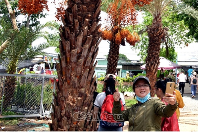 Để Du lịch Cà Mau cất cánh​ - Bài 2: Học bạn làm du lịch