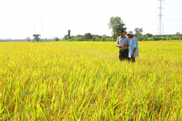 Hợp tác xã Dịch vụ nông nghiệp Nha Mân; Sản xuất đi đôi với lợi ích xã viên